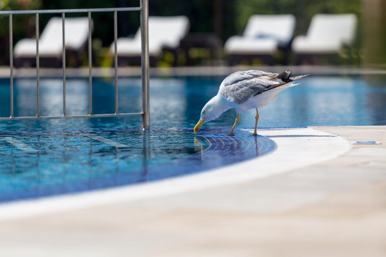 Villa Florence Boutique Apart Hotel Sveti Vlas Exterior photo